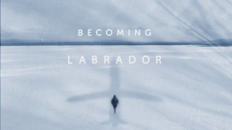 Becoming Labrador Movie Poster