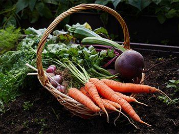 Fresh vegetables including carrots and beetroot in a basket with a handle.