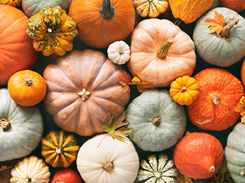Top view of various pumpkins with leaves.