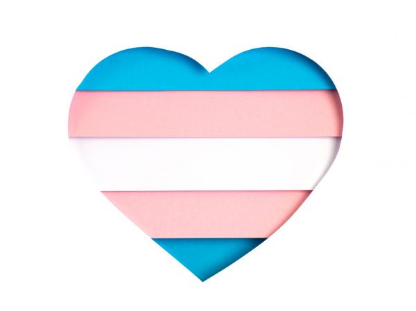 Transgender flag in the form of paper cut out shape with blue, pink, and white colors.