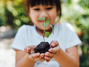Child holding seedling with both hands.