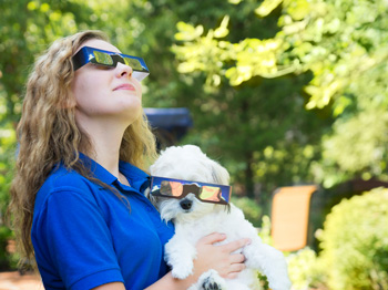 An adult and a dog looking at a solar eclipse wearing special glasses.