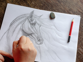 Person drawing a horse with drawing supplies nearby on a wooden desk.