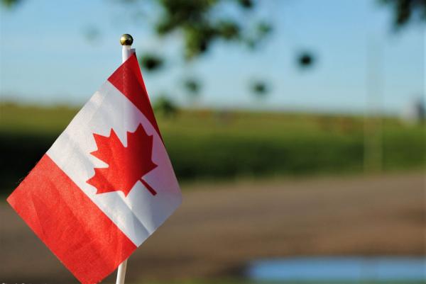 Canada Flag in front of a field with trees in the background